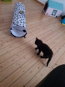 WhatsApp Image 2018-07-13 at 21.44.22 (1).jpeg