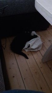 WhatsApp Image 2018-07-13 at 21.24.28.jpeg