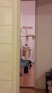 WhatsApp Image 2018-07-13 at 22.38.46.jpeg