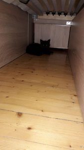 WhatsApp Image 2018-07-13 at 22.56.31.jpeg