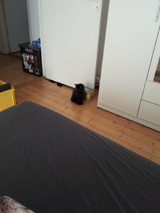 WhatsApp Image 2018-07-14 at 07.57.53.jpeg