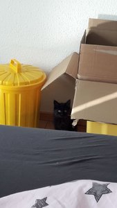 WhatsApp Image 2018-07-14 at 07.59.53.jpeg