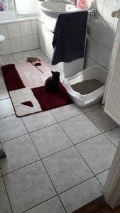 WhatsApp Image 2018-07-14 at 08.04.05.jpeg