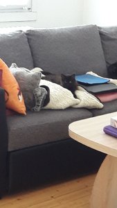 WhatsApp Image 2018-07-14 at 08.09.53.jpeg