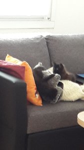 WhatsApp Image 2018-07-14 at 08.10.20.jpeg