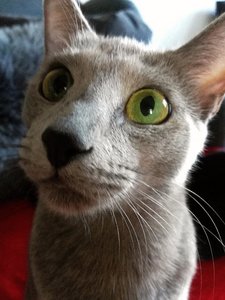 IMG_20180714_172732.jpg IMG_20180714_172732.jpg