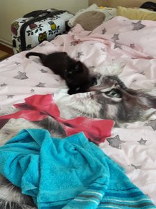 WhatsApp Image 2018-07-14 at 20.47.40.jpeg