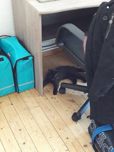 WhatsApp Image 2018-07-14 at 20.47.41.jpeg