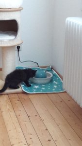 WhatsApp Image 2018-07-14 at 21.02.50.jpeg