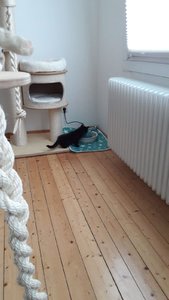 WhatsApp Image 2018-07-14 at 21.03.12.jpeg