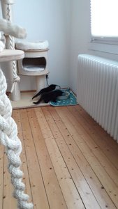 WhatsApp Image 2018-07-14 at 21.03.24.jpeg