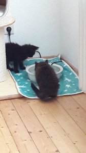 WhatsApp Image 2018-07-14 at 21.03.56.jpeg