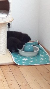 WhatsApp Image 2018-07-14 at 21.04.54.jpeg