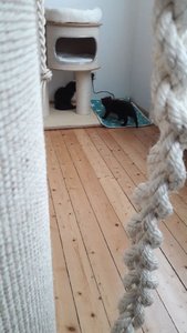 WhatsApp Image 2018-07-14 at 21.08.22.jpeg