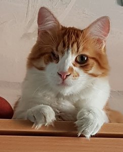 20180614_102720.jpg 20180614_102720.jpg