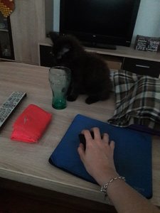 WhatsApp Image 2018-07-14 at 21.36.48.jpeg