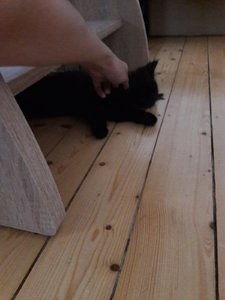 WhatsApp Image 2018-07-15 at 21.06.03.jpeg