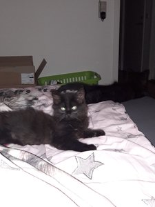 WhatsApp Image 2018-07-16 at 06.41.49.jpeg