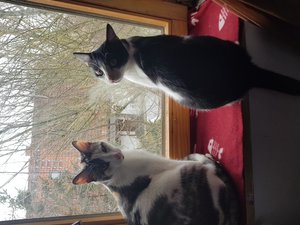 20180112_114716 (1).jpg