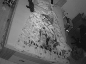 WhatsApp Image 2018-07-16 at 18.26.15.jpeg