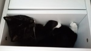 Maja Nachtschränkchen.jpg