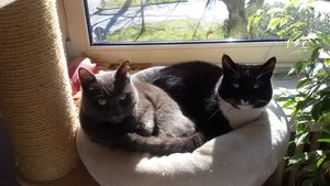 Maja und Grace (1).jpg