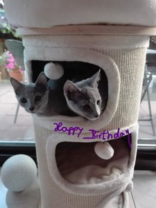 IMG_20171016_182032 (1)_LI.jpg