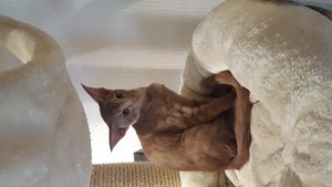 2018-07-19 19.33.40.jpg