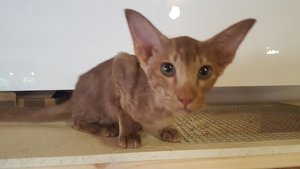 2018-07-19 19.38.32.jpg