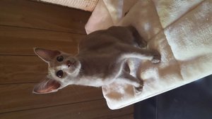 2018-07-19 18.04.37.jpg