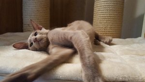 2018-07-19 19.33.07.jpg