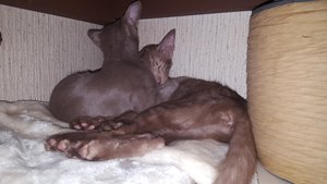 2018-07-21 16.31.03.jpg