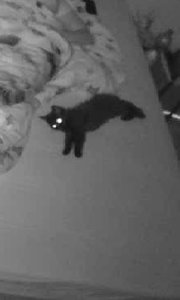 WhatsApp Image 2018-07-22 at 09.23.48.jpeg