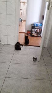 WhatsApp Image 2018-07-21 at 17.53.06.jpeg