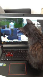 WhatsApp Image 2018-07-22 at 15.58.11.jpeg