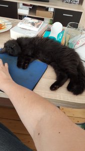 WhatsApp Image 2018-07-22 at 16.53.55.jpeg