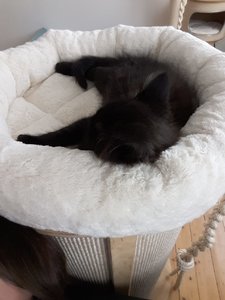 WhatsApp Image 2018-07-22 at 18.56.28.jpeg