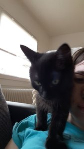 WhatsApp Image 2018-07-29 at 12.46.18.jpeg