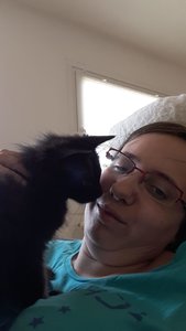 WhatsApp Image 2018-07-29 at 12.45.12.jpeg