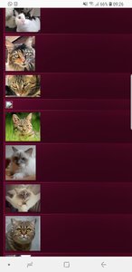 Screenshot_20180803-092650_Samsung Internet.jpg