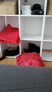 WhatsApp Image 2018-07-30 at 11.15.22.jpeg