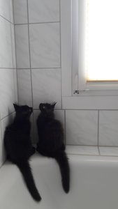 WhatsApp Image 2018-08-01 at 13.35.50.jpeg