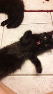 WhatsApp Image 2018-08-01 at 21.39.59.jpeg