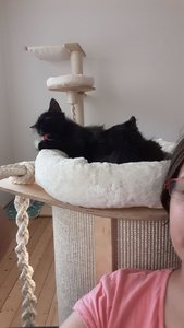 WhatsApp Image 2018-08-03 at 18.52.03.jpeg