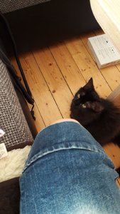 WhatsApp Image 2018-08-05 at 18.16.22.jpeg