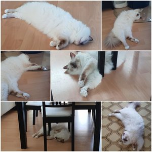 August Wochenende - Parci.jpg