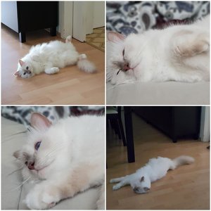 August Wochenende - Casso.jpg