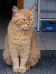 20180809_182947 (2).jpg