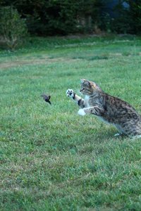 IMG_0640.jpg IMG_0640.jpg