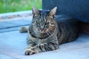 IMG_0649.JPG IMG_0649.JPG